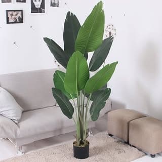Gardenbanao_india