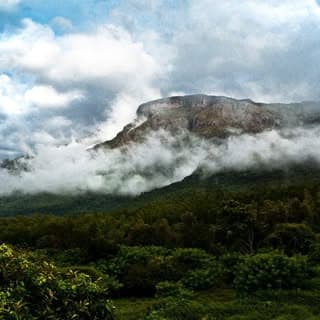 Jungle Retreat, Bokkapuram