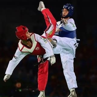 Taekwondo___knockouts