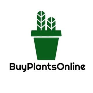 Buy Plants Online