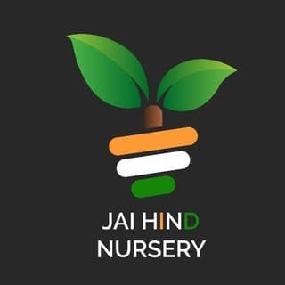 MBA Nurserywala