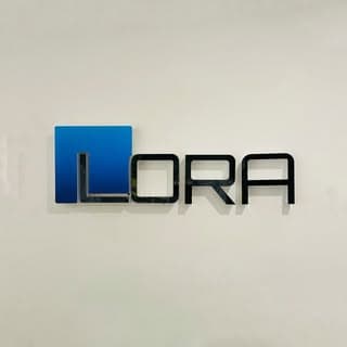 Lora automotive car detailer