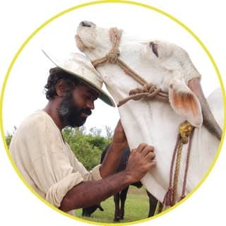 ಗೌರಿಶಂಕರ ಕರೋಶಿ