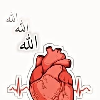 تميم خان