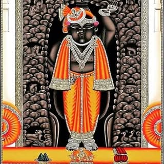 shreenathji_chitraji_darshan