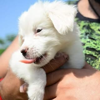 casper