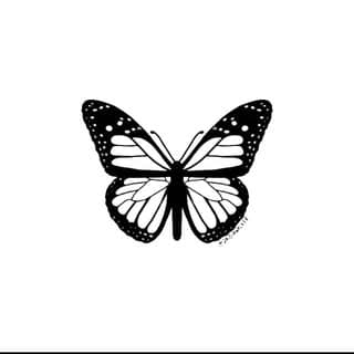 🦋 فحذ…{ ﷼}