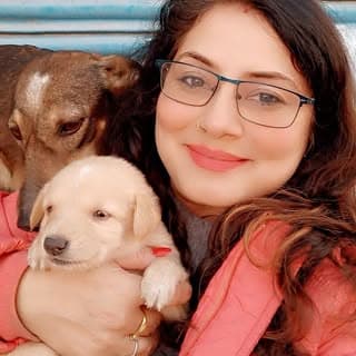 Bezubaanpyaare Run by Prerna Arora animal activist from Ambala