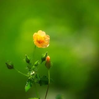 ๐ฑ Nature photography ๐ฑ___๐ธ