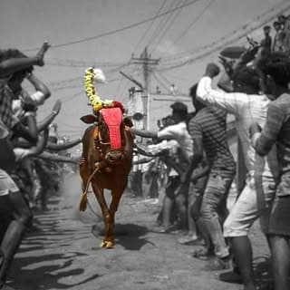 Vell.ore🔥Manjuvirattu🔥Kings