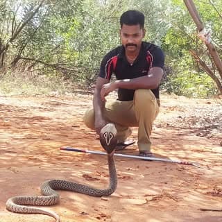 Povi Arasan
