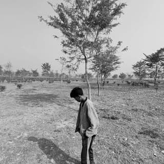 Lakhidar