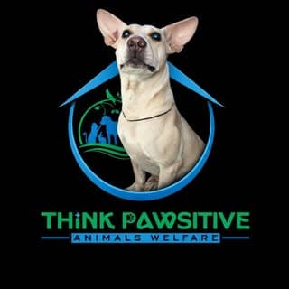 ThinkPawsitive Animals Welfare Foundation(ISO 9001:2015) ๐ฎ๐ณ