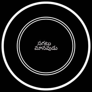 సగటు మానవుడు