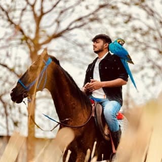 Mayank Nalini Madhukar Kad