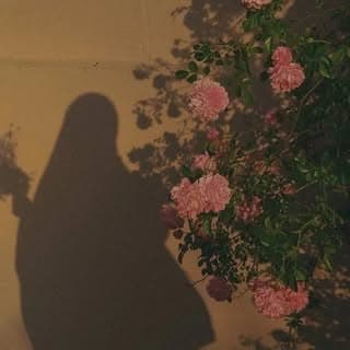 ADORNED HAYA ๐ | HALCYON๐ธ