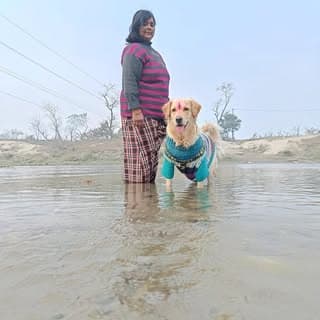Mydogteed