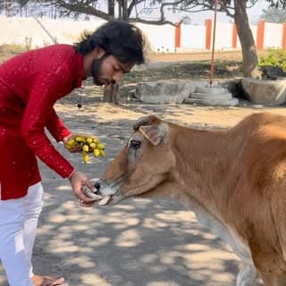 Raunak Singh | Animal Savior