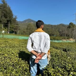  JAAT 