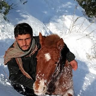 بہادر علی