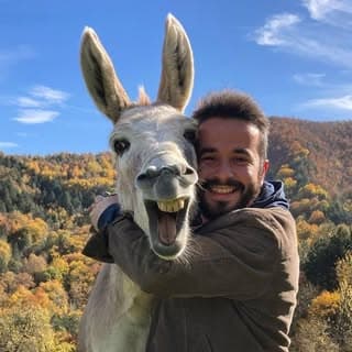 Cihan Çelik