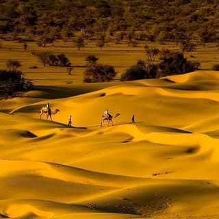 Mangalam Desert Camp & Resort Jaisalmer