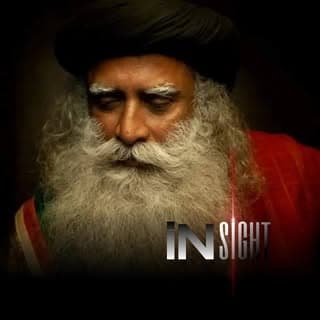 iNSIGHT
