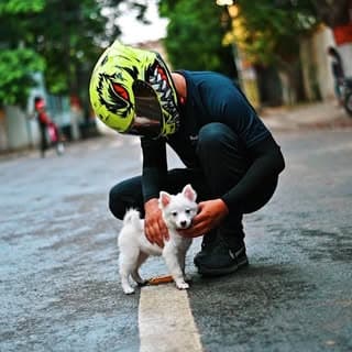 Ankit Sharma