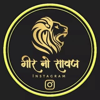 ગીર નો સાવજ 🍥