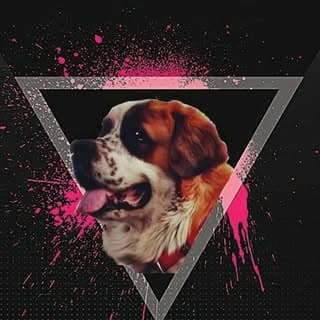 shadow (the saint Bernard)