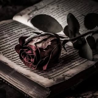 آنسوئے عشق