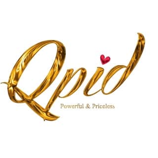 Qpidindia.in