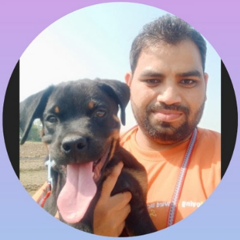 Dog lover god