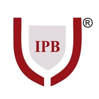 Institute of Professional Banking