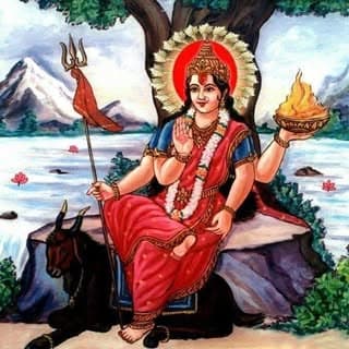 Jay Meldi Maa