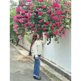 🕊رابعہ