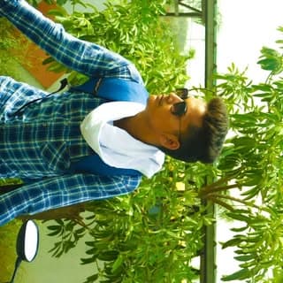 Ankit Chauhan Chauhan