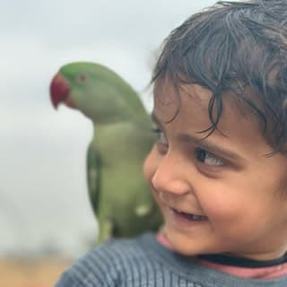 Vicky birds lover
