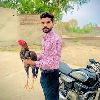 Heera