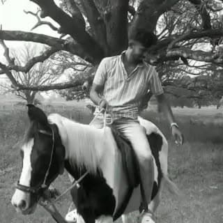 Akash Thakur