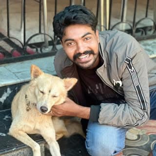 Vineesh Vikraman Pillai