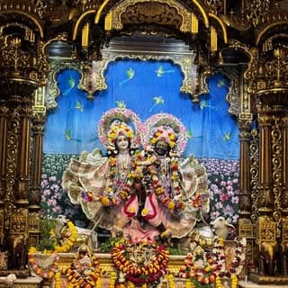 कृष्ण शरणम ♥️🌿🌄