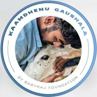 Radhey Kunj kaamdhenu gaushala
