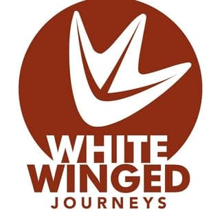 White Winged Journeys