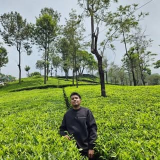 Umar