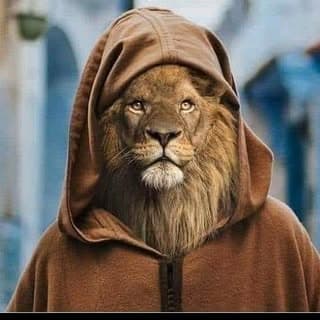 لورنس.. أسد . 🦁❤️.