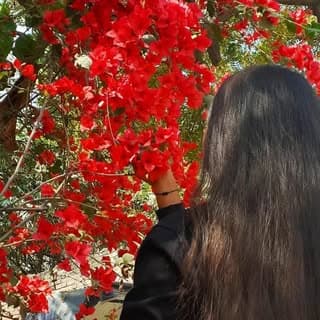 Aayu🌱