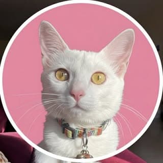 Ellie & Bubbles | Life Of Two Goan Cats