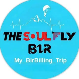 THE SOUL FLY BIR 🕊️
