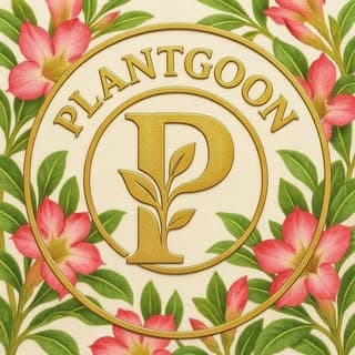 🪴PLANTGOON ADENIUM NURSERY 🪴